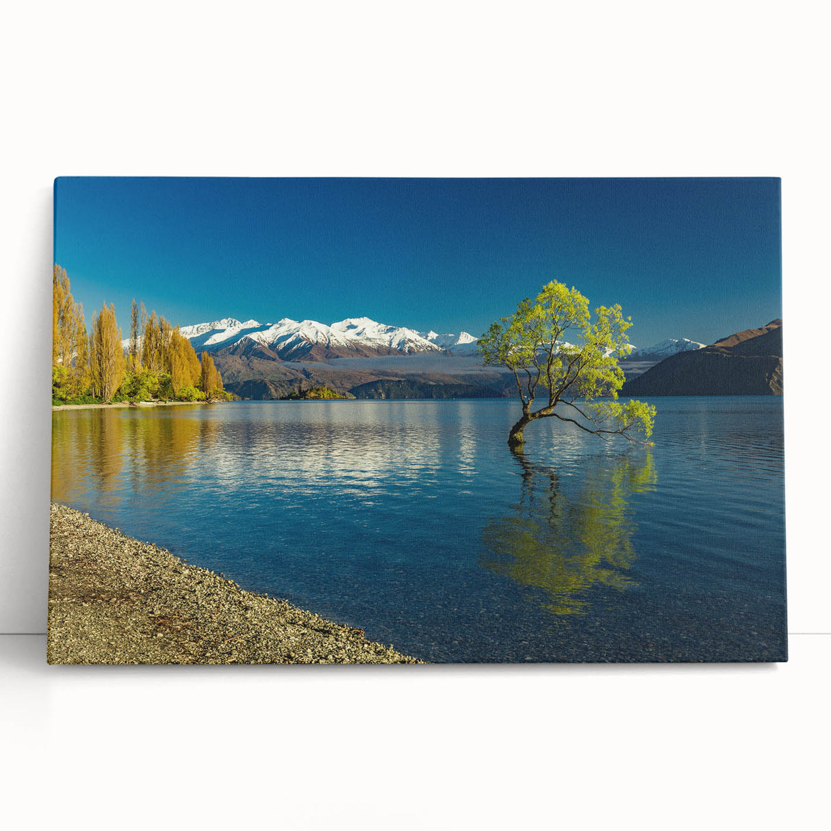 Black and white photograph of Otago, New Zealand on stretched canvas, ideal for kitchen wall art or bedroom ambiance.