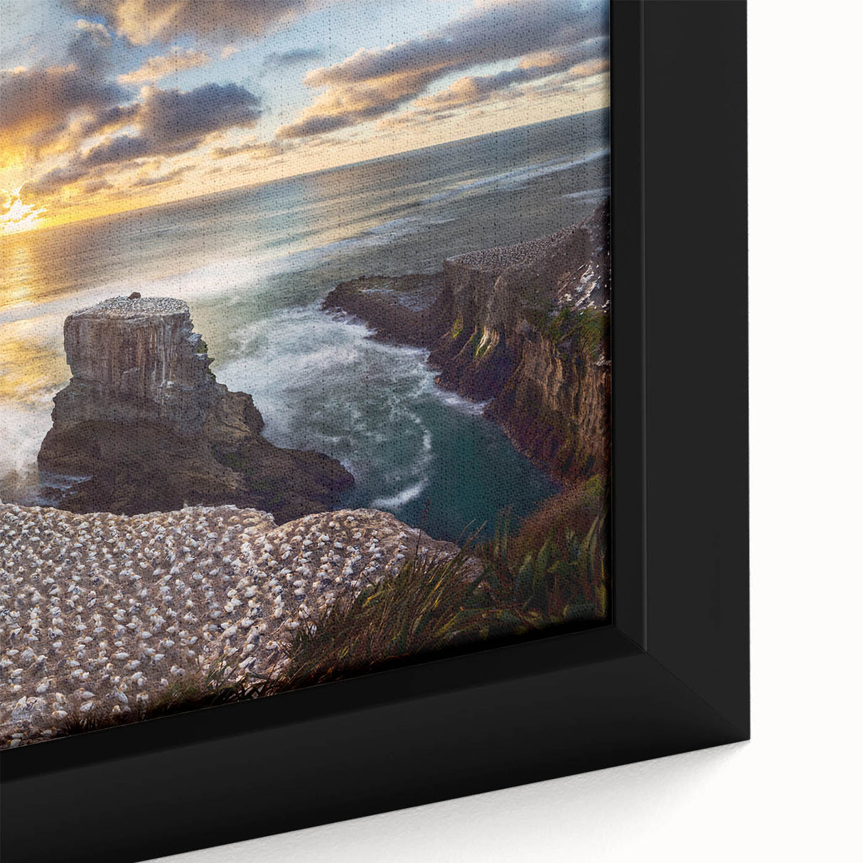 Extra large framed canvas featuring a textured depiction of New Zealand's West Coast in black with vibrant color accents.