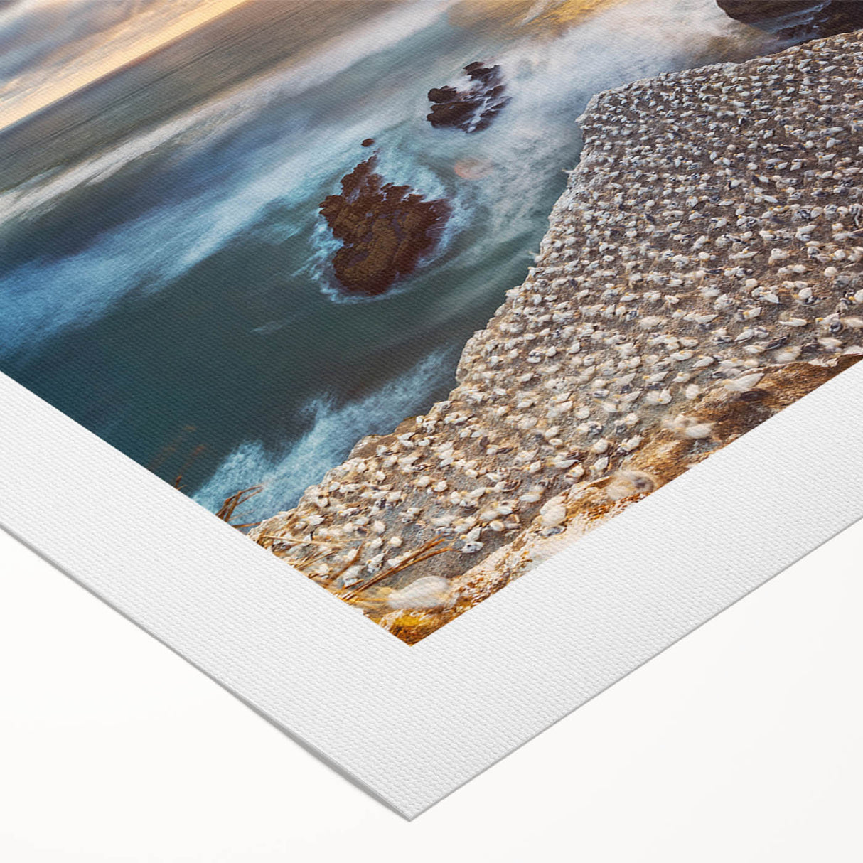 Art deco poster of New Zealand's West Coast in muted green and blue tones on rolled canvas.