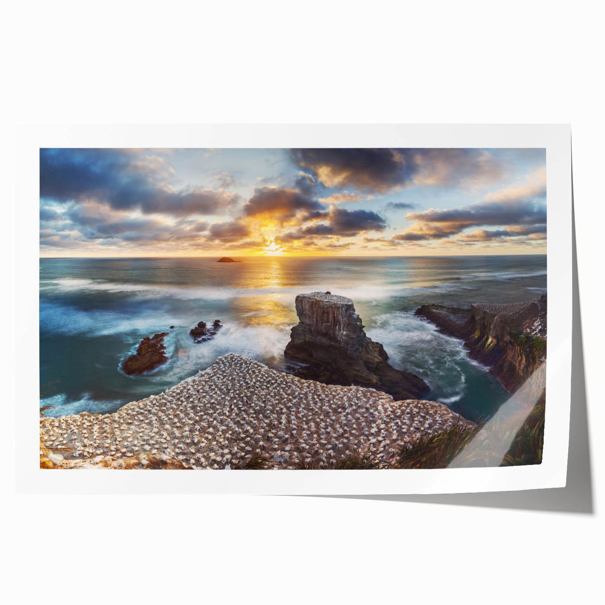 Rolled print of New Zealand's West Coast with vibrant greens and blues, ideal for dining room wall art.