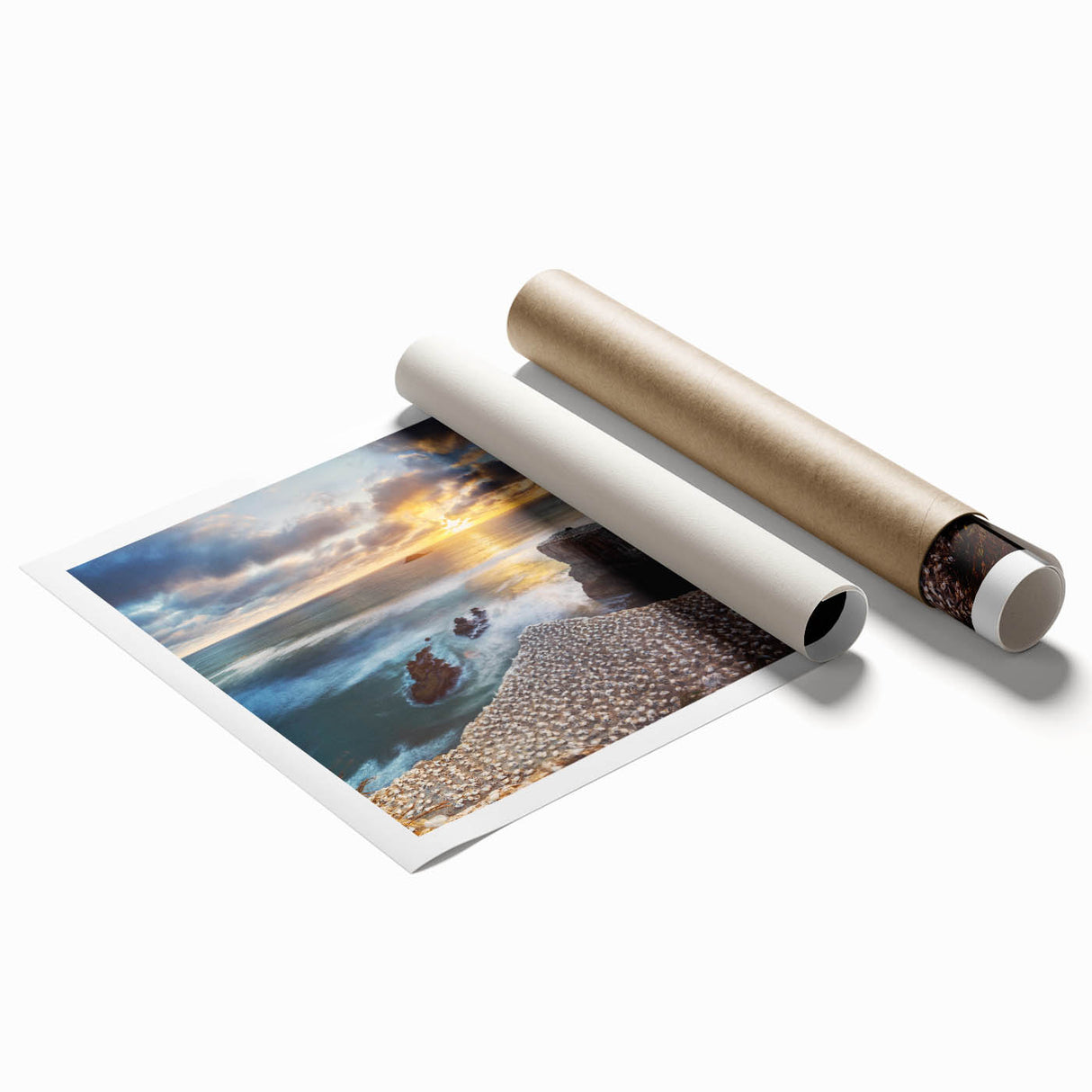 Extra large rolled print of a New Zealand West Coast scene with muted green and blue tones.