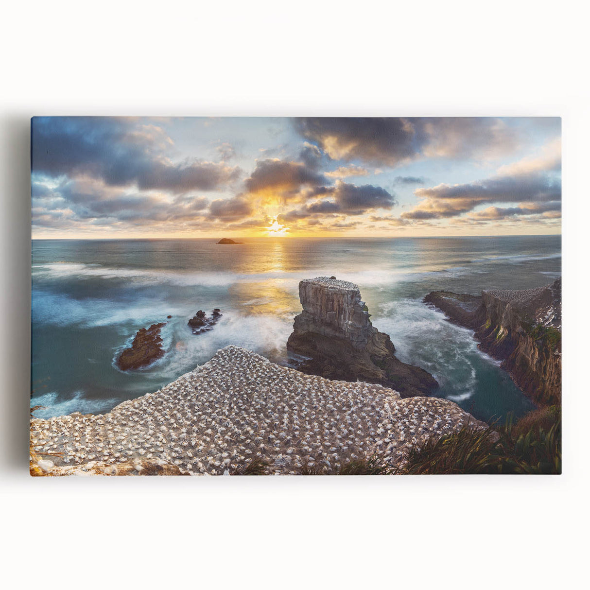 Black and white photograph of New Zealand's west coast on a large stretched canvas, suitable for kitchen wall art.