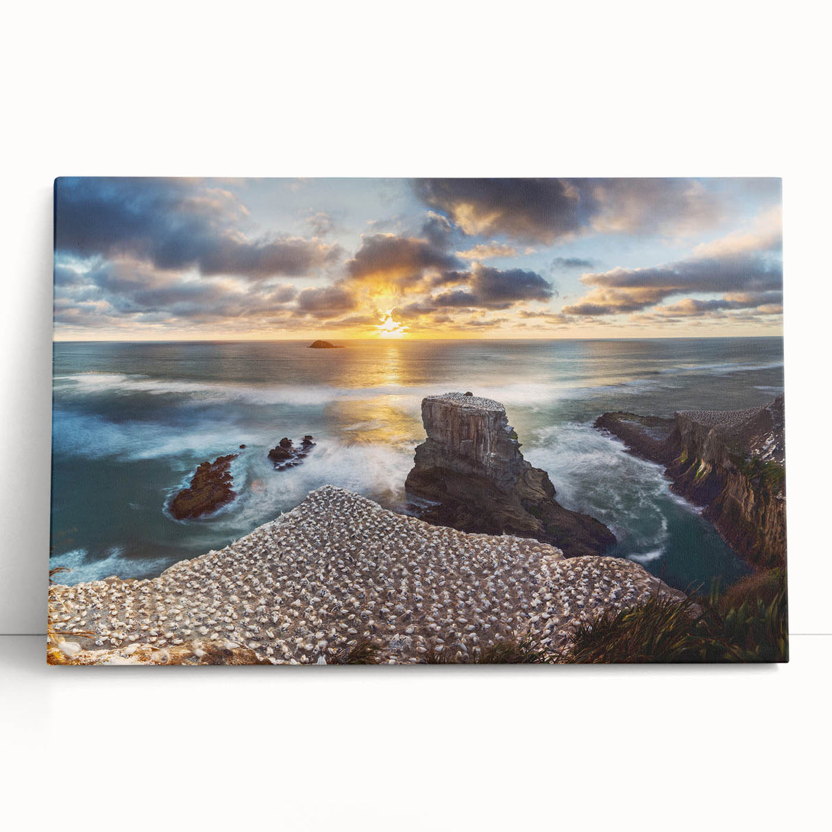 Black and white photo of New Zealand's West Coast on stretched canvas, suitable as kitchen wall art or bedroom decor.