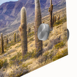 Large abstract wall art depicting a South American scenery in mid-century modernist style on acrylic glass.