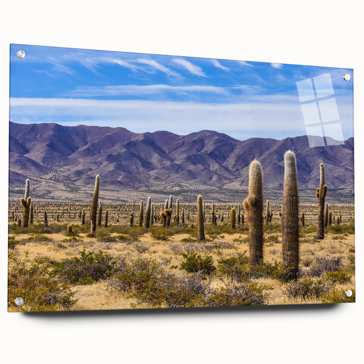 Large abstract wall art of an Argentine landscape in muted earth tones on acrylic glass.
