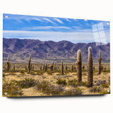 Large abstract wall art of an Argentine landscape in muted earth tones on acrylic glass.