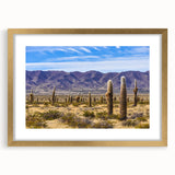 Extra large abstract art print of a textured Argentine landscape, in muted earth tones, framed in gold.