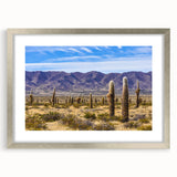 Textured art of abstract South American scenery in silver frame, ideal for bedroom art, featuring earthy tones.