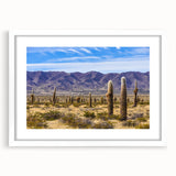 Abstract art print of a muted color palette depicting a stylized South American scenery on a framed white mat.