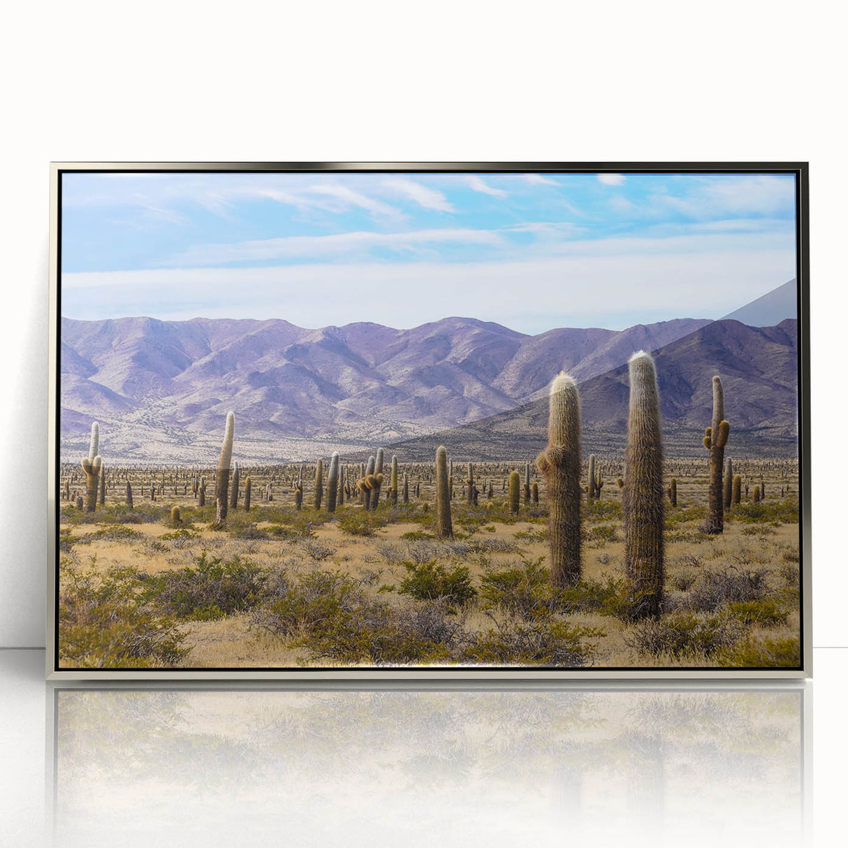 Mid-century modernist art depicting an Argentinian landscape, in muted earth tones on a silver-framed acrylic print.
