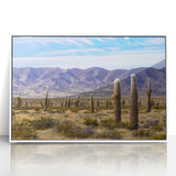 Framed acrylic print of a stylized Art Deco poster featuring an Argentine landscape in pastel shades.