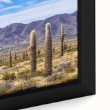 Extra large framed canvas featuring a textured depiction of a South American scenery in black with colorful art accents.