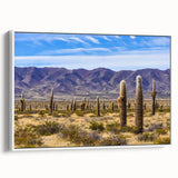 Vintage poster art of an Argentine landscape on a framed canvas, featuring vibrant colors, ideal for living room decor.