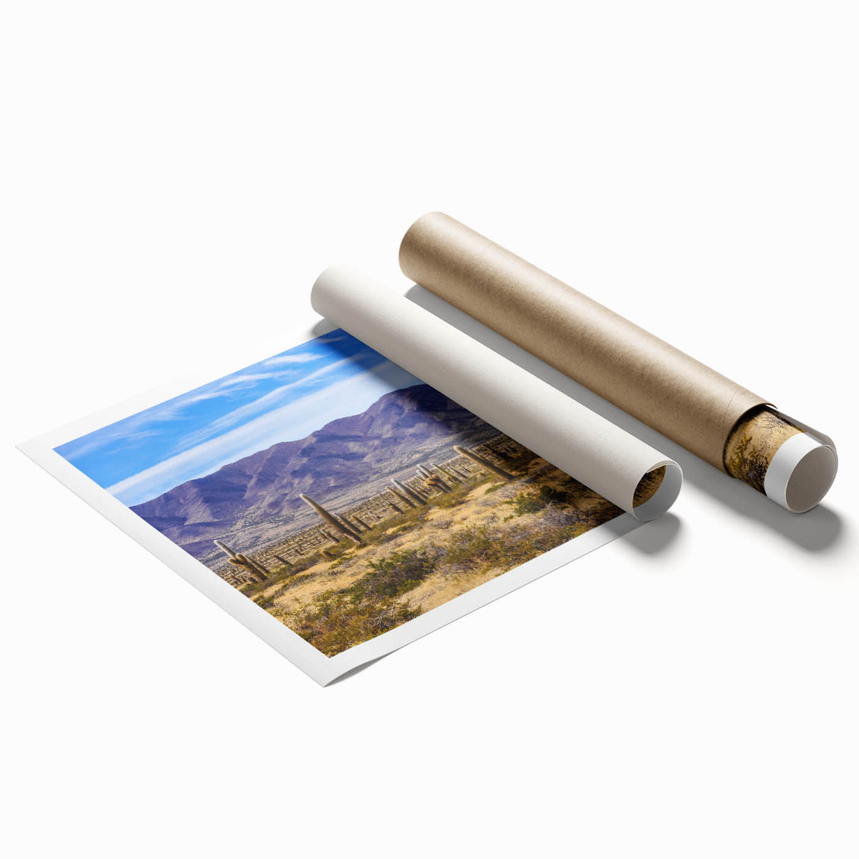 Extra large rolled print featuring a floral scene from Argentina in soft pastel shades, ideal for classy bathroom wall art.