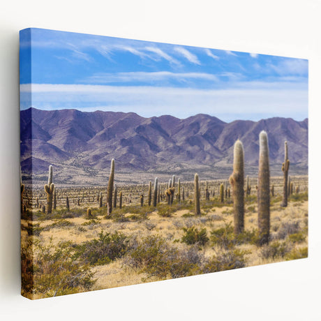 Panoramic view of an Argentine landscape on stretched canvas, featuring earthy green and brown tones.
