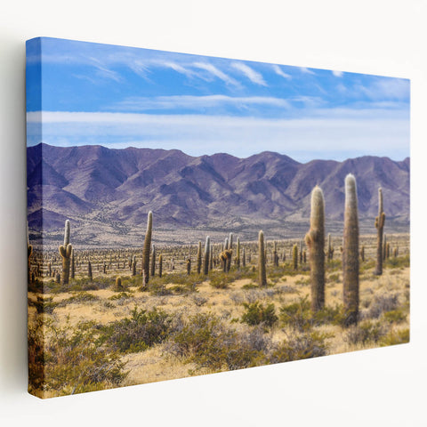 Panoramic view of an Argentine landscape on stretched canvas, featuring earthy green and brown tones.