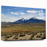 Acrylic print of a large abstract depiction of a Chilean landscape in muted earth tones.