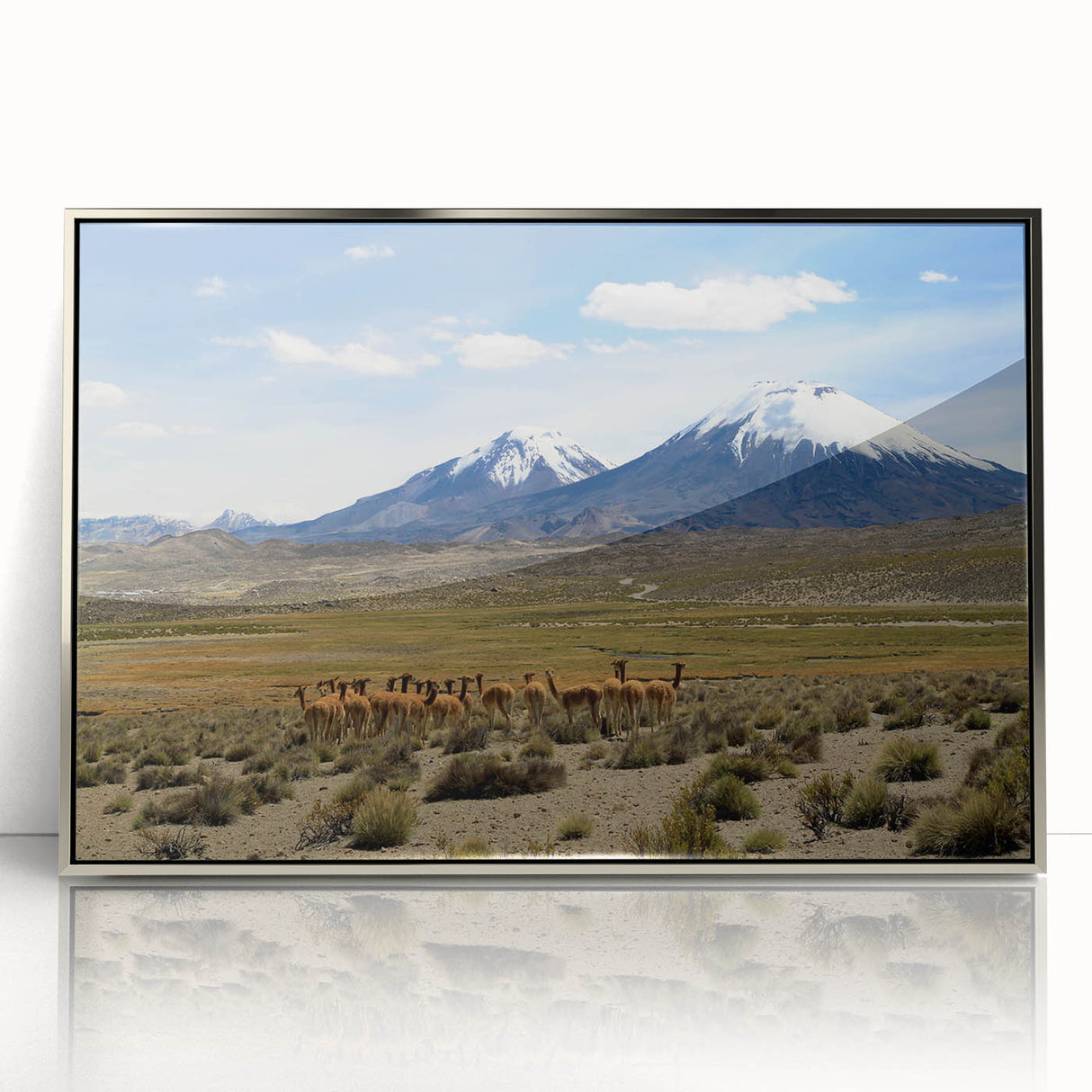 Mid-century modernist art of a Chilean landscape in muted earth tones on a silver-framed acrylic print.