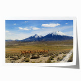 Rolled print of a Chilean landscape featuring muted earth tones, ideal for art wall dining room decor.