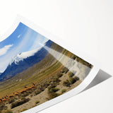 Extra large rolled print featuring line art flowers in subtle earth tones, ideal for large living room wall art.