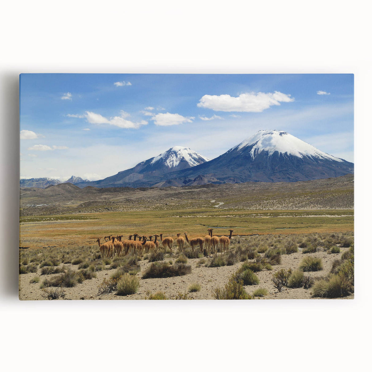 Black and white photograph of the Chilean landscape on stretched canvas, ideal for kitchen art.