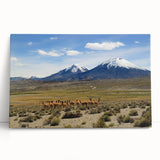 Black and white stretched canvas of Chilean mountain landscape, ideal for kitchen wall art or bedroom.