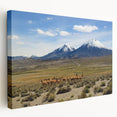 Stretched canvas featuring a serene South American Chilean landscape in muted earth tones, ideal for kitchen wall art.
