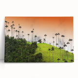 Black and white photograph of Colombian landscape on stretched canvas, ideal for kitchen wall art.
