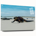 Acrylic print of a Galápagos landscape in natural shades, suitable for dining room decor.