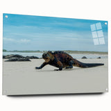 Acrylic print of a Galápagos landscape in natural shades, suitable for dining room decor.