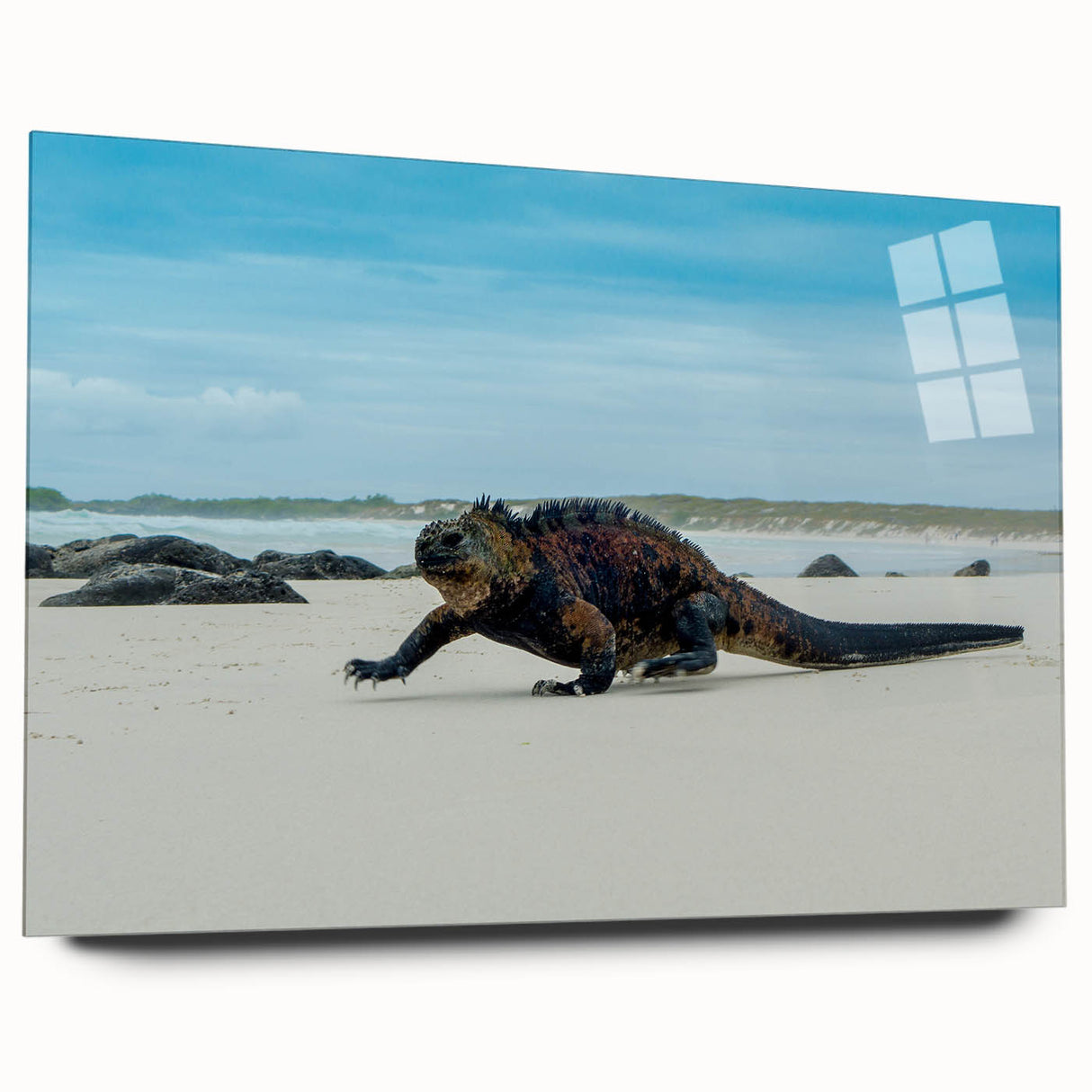Large abstract wall art depicting the Galapagos scenery in muted earth tones on acrylic glass.
