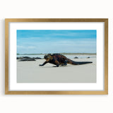 Extra large abstract art print of Galapagos scenery in textured style with gold frame, ideal for living room decor.
