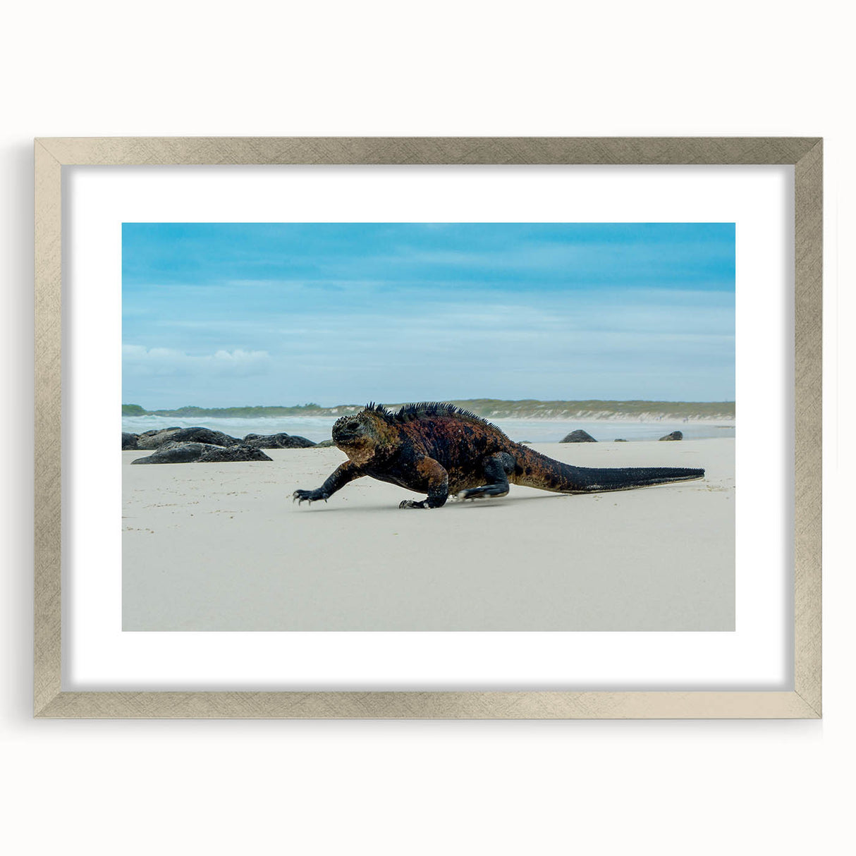 Textured abstract art print of a Galapagos scenery in muted earth tones, framed in silver, ideal for bedroom art.