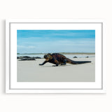 Abstract art print of Galapagos scenery in muted earth tones on a white framed mat, ideal for dining room decor.