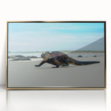 Framed acrylic print of a Galapagos scenery in muted earth tones, ideal for modern art wall decor.