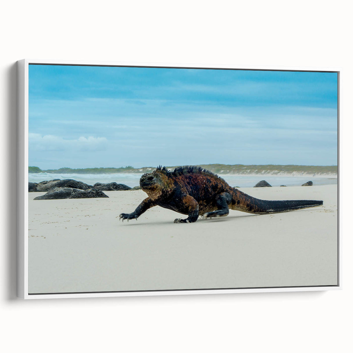 Framed vintage poster art of Ecuadorian Galapagos scenery on canvas, featuring vibrant colors against a black background.