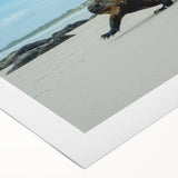 Art deco poster of the Galapagos scenery on rolled canvas, featuring soft blue and green tones.