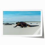 Rolled print of a lush Galapagos landscape in vibrant green and blue tones, ideal for dining room wall art.