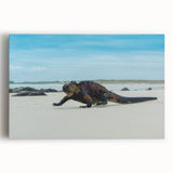 Black and white stretched canvas of Galapagos scenery, suitable for kitchen wall art.