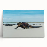Black and white photo of Galapagos scenery on large stretched canvas, ideal for kitchen wall art.