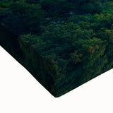 Large art of an Alabama landscape in black and white on stretched canvas, suitable for bedroom wall decor.