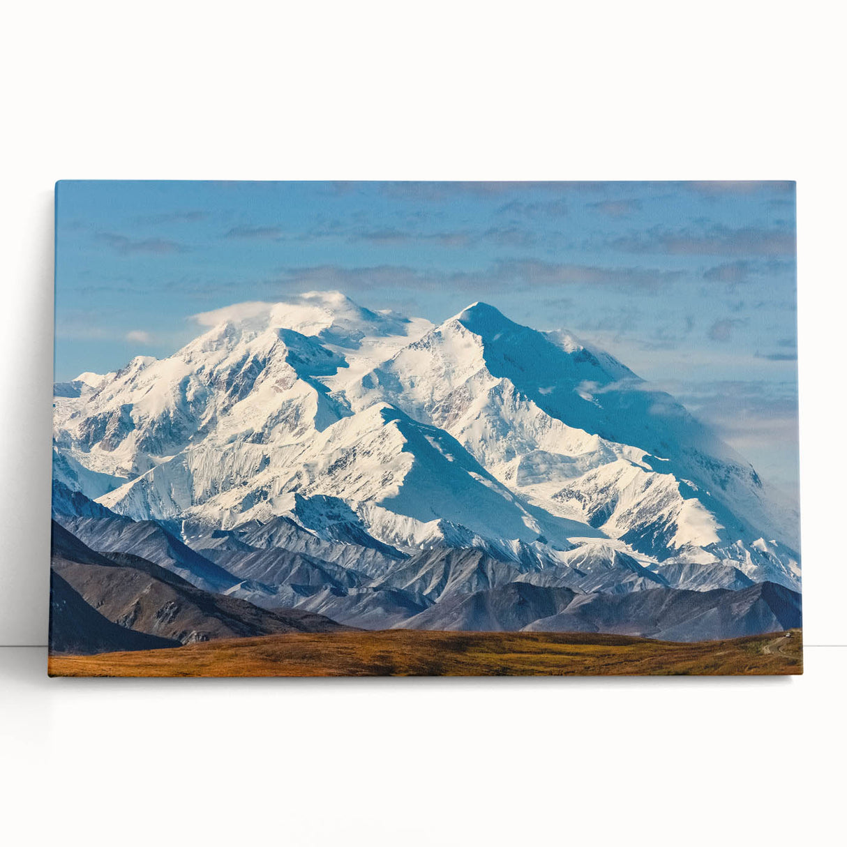 Black and white stretched canvas of Denali, Alaska, ideal for kitchen wall art or bedroom ambiance.
