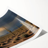 Extra large wall art featuring line art flowers on a rolled print.