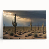 Black and white stretched canvas featuring a panoramic Sonoran Desert landscape, ideal for kitchen wall art.