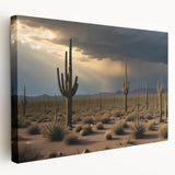 Large stretched canvas print of the Sonoran Desert in Arizona with muted earth tones, suitable for kitchen wall art.