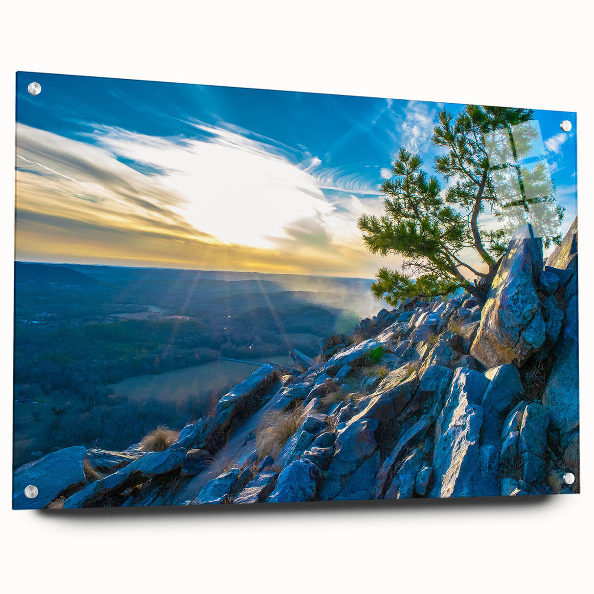 Acrylic print of a large abstract depiction of the Arkansas landscape in earthy tones.