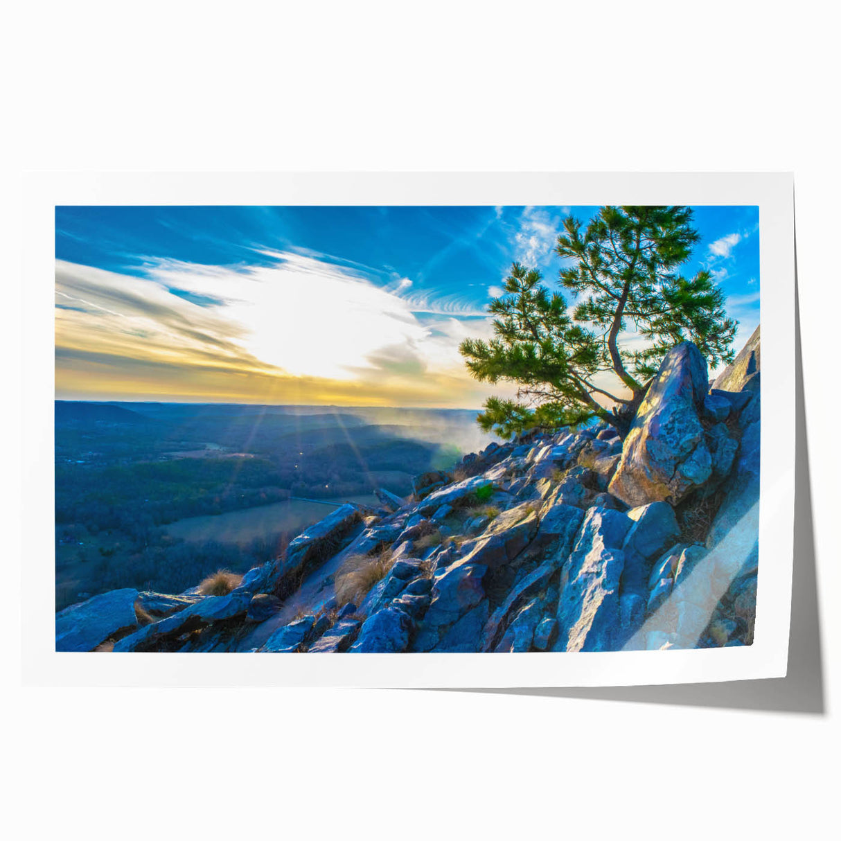 Extra large rolled print of Arkansas scenery with vibrant floral elements, ideal for art wall dining room.