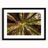 Colorful abstract art print of Big Sur in vibrant hues on a large, textured canvas, framed in black.