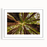 Abstract art print of California's Big Sur in muted blue and green tones, framed in white.