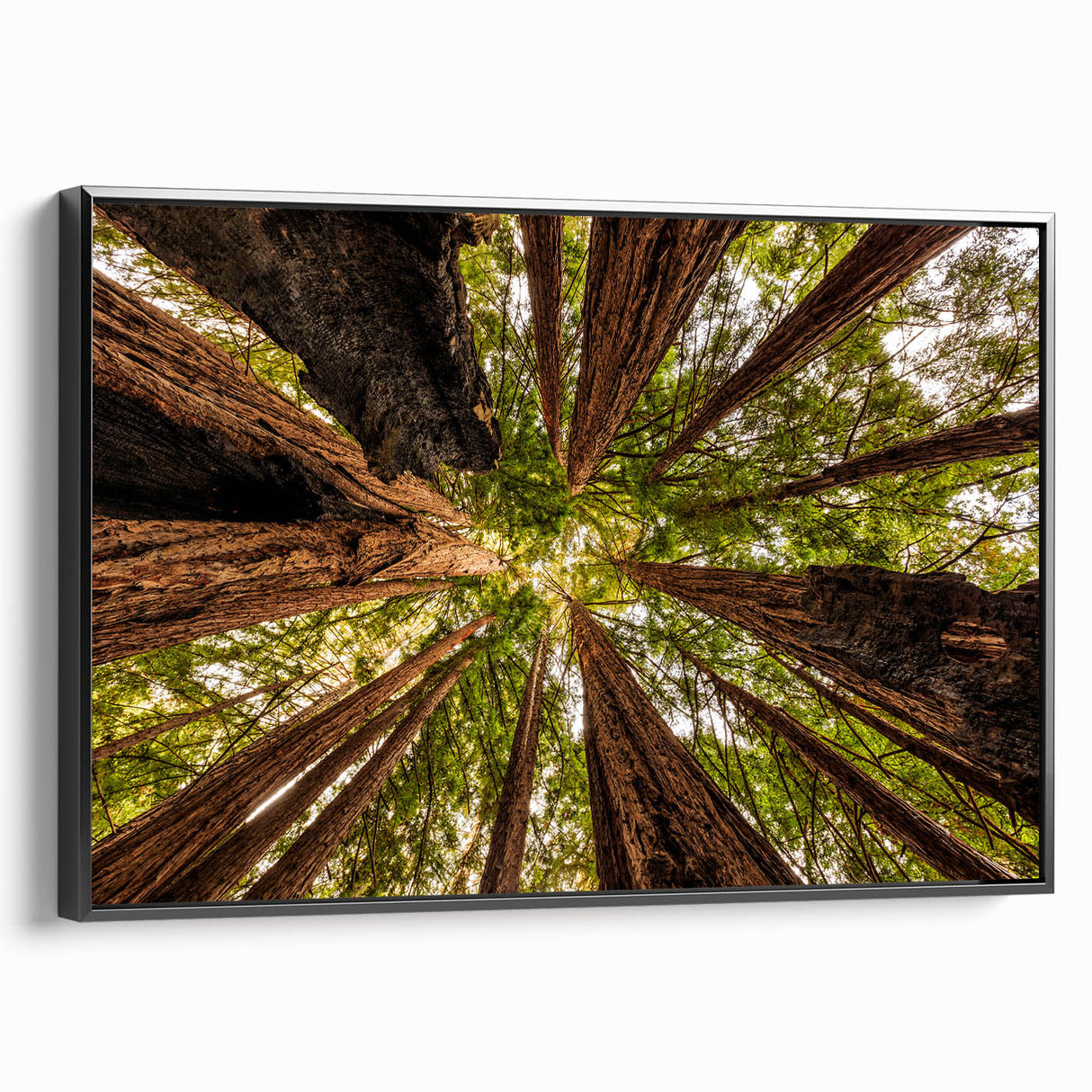 Black and white framed canvas of Big Sur landscape, vintage poster style, ideal for bedroom wall art.